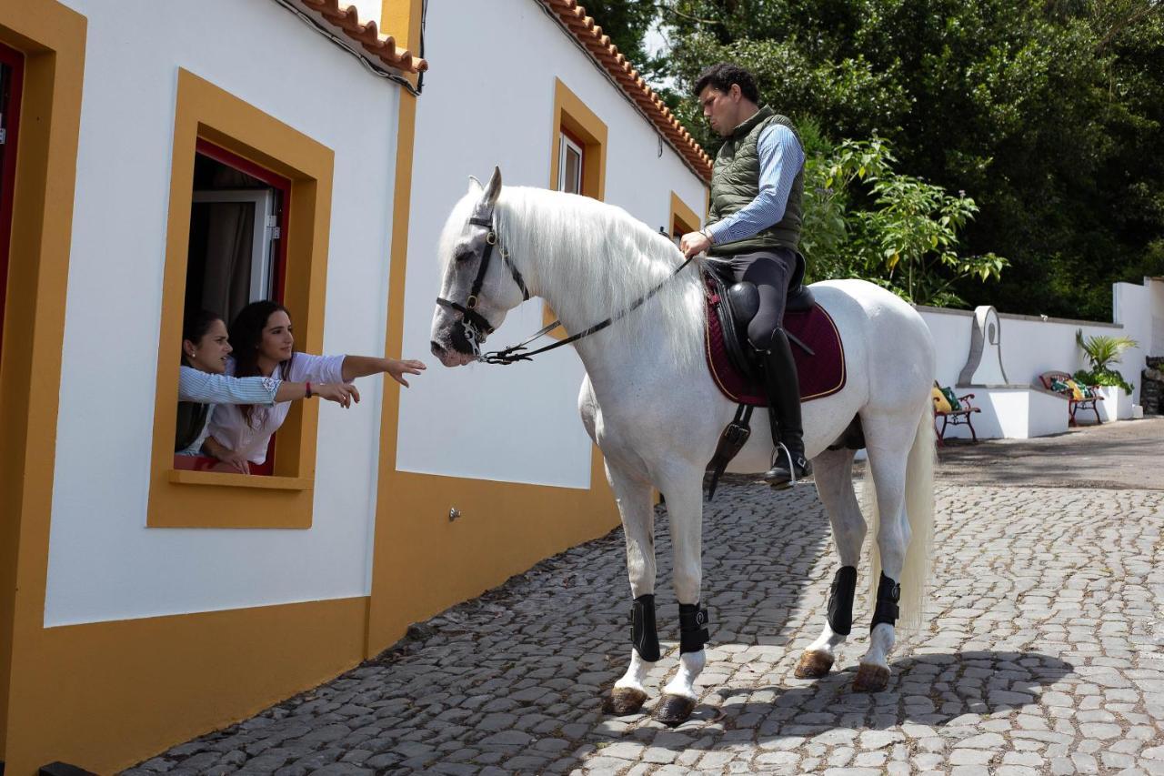 Quinta Do Malhinha- Turismo Villa Angra do Heroísmo Exteriör bild